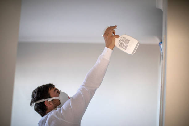 Trusted Mount Hore, WI Mold Removal Experts