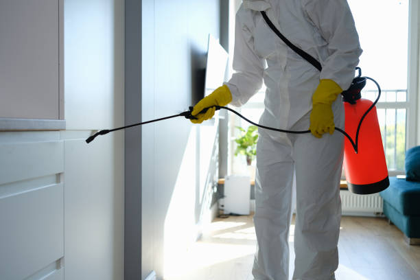Water Damage Restoration in Mount Hore, WI