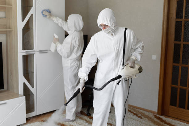 Best Commercial Mold Removal  in Mount Hore, WI