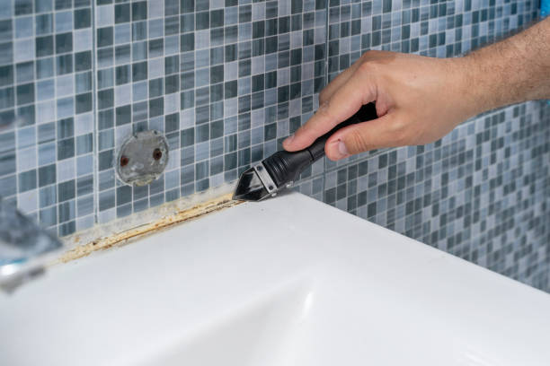 Best Mold Remediation Services  in Mount Hore, WI