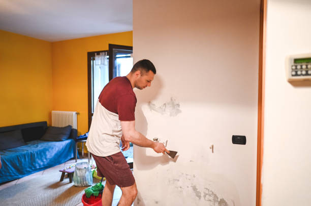 Best Local Mold Removal Service  in Mount Hore, WI